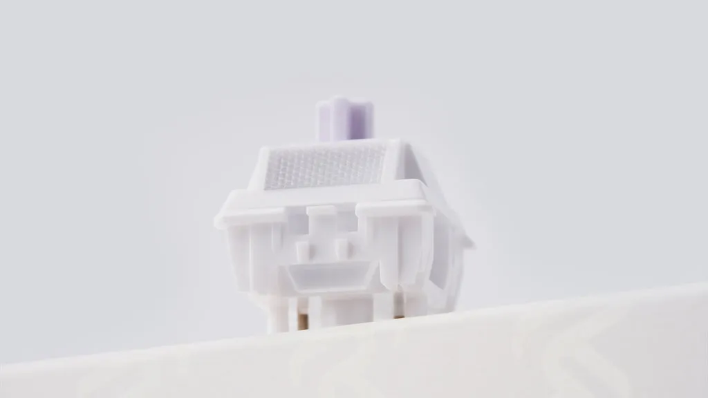 CoffeeKeys WS Morandi switch lineare 60g RGB 5 pin