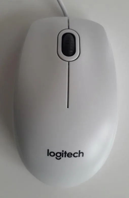 Logitech B100 mouse con filo USB bianco 800 DPI